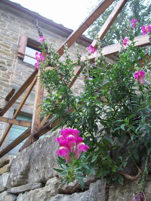 Pieve Di Ca Maggiore 菲伦佐拉 外观 照片